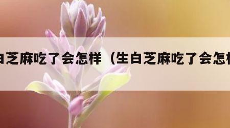 生白芝麻吃了会怎样（生白芝麻吃了会怎样呢）