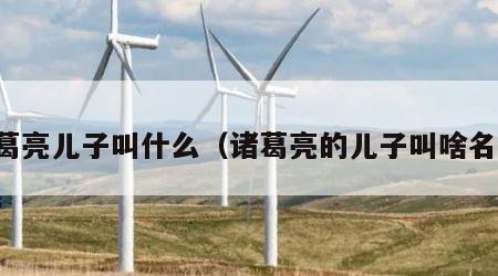 诸葛亮儿子叫什么（诸葛亮的儿子叫啥名字）