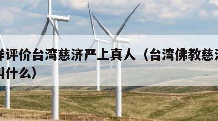 怎样评价台湾慈济严上真人（台湾佛教慈济法师叫什么）