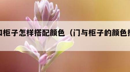 门和柜子怎样搭配颜色（门与柜子的颜色搭配）