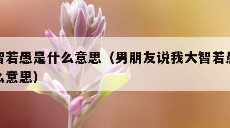 大智若愚是什么意思（男朋友说我大智若愚是什么意思）