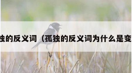 孤独的反义词（孤独的反义词为什么是变态）
