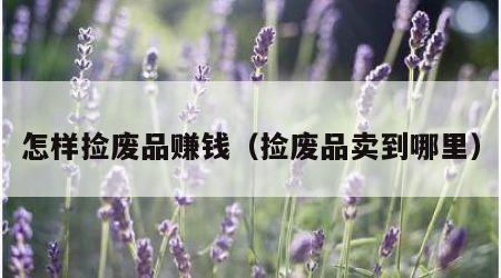 怎样捡废品赚钱（捡废品卖到哪里）