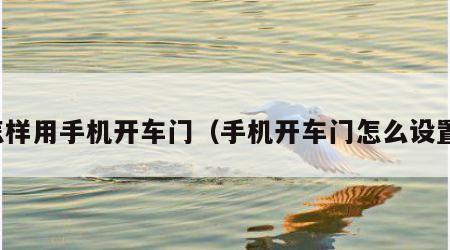 怎样用手机开车门（手机开车门怎么设置）