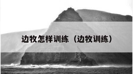 边牧怎样训练（边牧训练）
