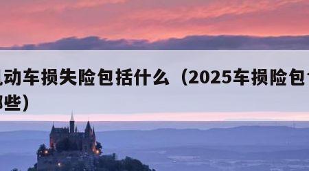 机动车损失险包括什么（2025车损险包含哪些）