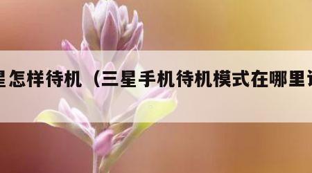 三星怎样待机（三星手机待机模式在哪里设置）