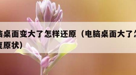 电脑桌面变大了怎样还原（电脑桌面大了怎么恢复原状）