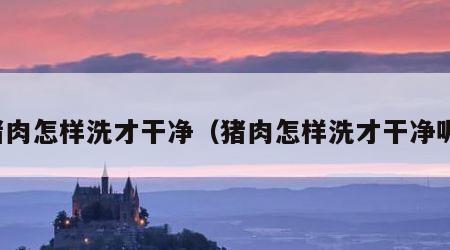 猪肉怎样洗才干净（猪肉怎样洗才干净呢）