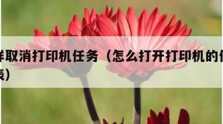 怎样取消打印机任务（怎么打开打印机的任务列表）