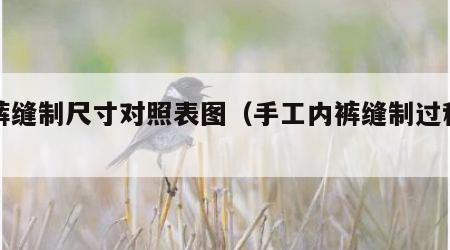 内裤缝制尺寸对照表图（手工内裤缝制过程视频）