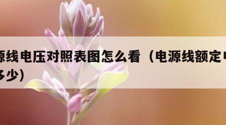 电源线电压对照表图怎么看（电源线额定电压是多少）