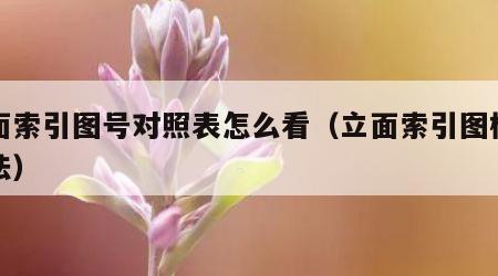 立面索引图号对照表怎么看（立面索引图标准画法）