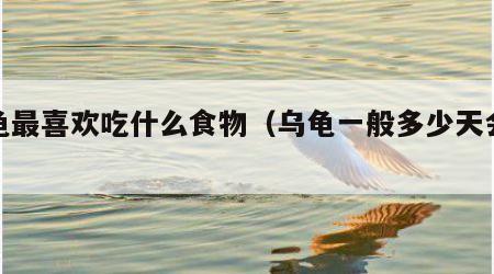 乌龟最喜欢吃什么食物（乌龟一般多少天会饿死）