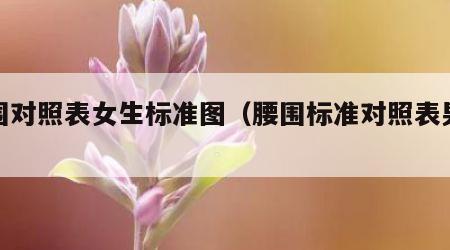 腰围对照表女生标准图（腰围标准对照表男女）