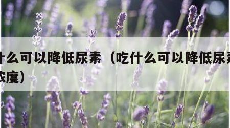 吃什么可以降低尿素（吃什么可以降低尿素氮的浓度）
