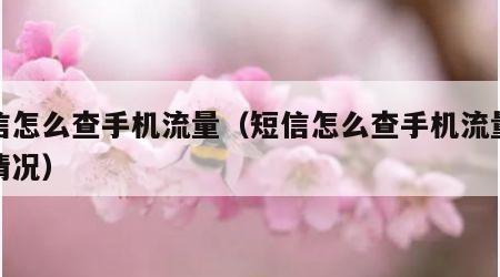 短信怎么查手机流量（短信怎么查手机流量使用情况）