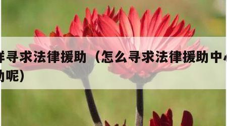 怎样寻求法律援助（怎么寻求法律援助中心的帮助呢）