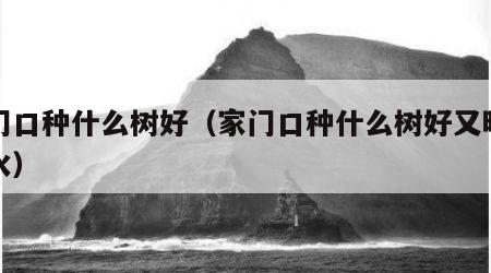 家门口种什么树好（家门口种什么树好又旺财风水）