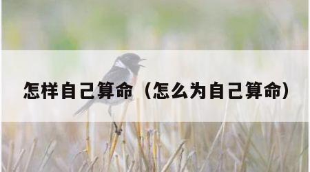 怎样自己算命（怎么为自己算命）