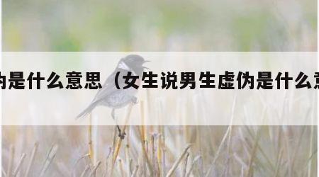 虚伪是什么意思（女生说男生虚伪是什么意思）
