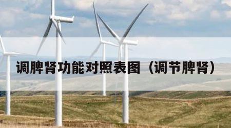 调脾肾功能对照表图（调节脾肾）