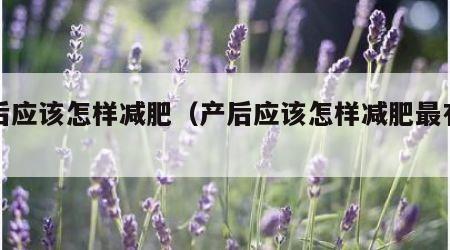 产后应该怎样减肥（产后应该怎样减肥最有效）
