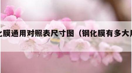钢化膜通用对照表尺寸图（钢化膜有多大用处）