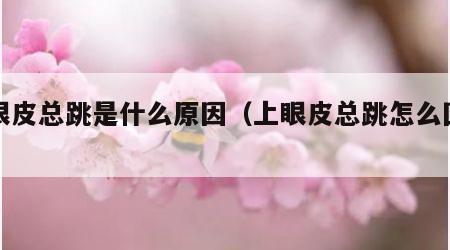 上眼皮总跳是什么原因（上眼皮总跳怎么回事）