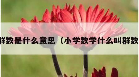 群数是什么意思（小学数学什么叫群数）