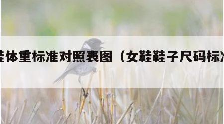 女鞋体重标准对照表图（女鞋鞋子尺码标准表）