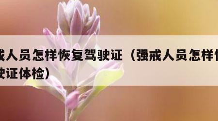 强戒人员怎样恢复驾驶证（强戒人员怎样恢复驾驶证体检）