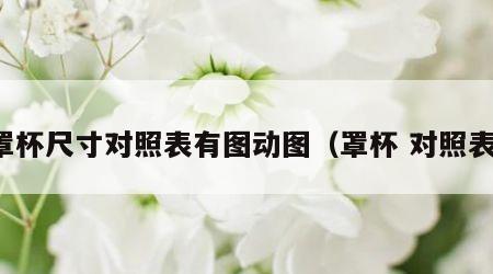 罩杯尺寸对照表有图动图（罩杯 对照表）