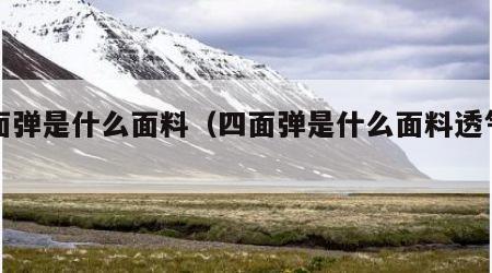 四面弹是什么面料（四面弹是什么面料透气吗）
