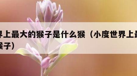 世界上最大的猴子是什么猴（小度世界上最大的猴子）