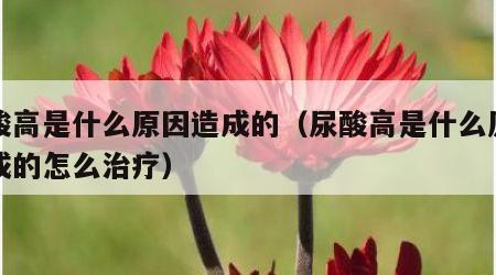尿酸高是什么原因造成的（尿酸高是什么原因造成的怎么治疗）