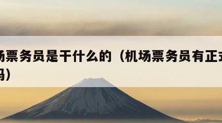 机场票务员是干什么的（机场票务员有正式编制吗）