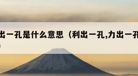 利出一孔是什么意思（利出一孔,力出一孔管理）