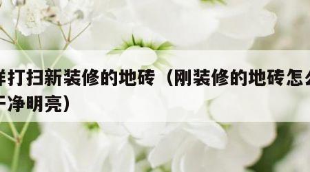 怎样打扫新装修的地砖（刚装修的地砖怎么打扫干净明亮）