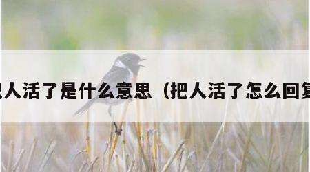 把人活了是什么意思（把人活了怎么回复）