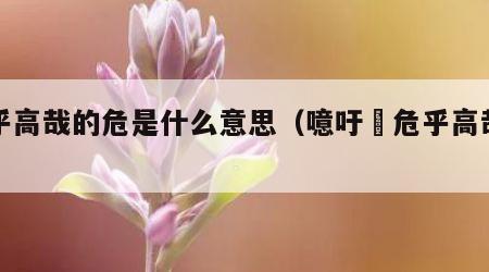 危乎高哉的危是什么意思（噫吁嚱危乎高哉的危）