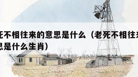老死不相往来的意思是什么（老死不相往来的意思是什么生肖）