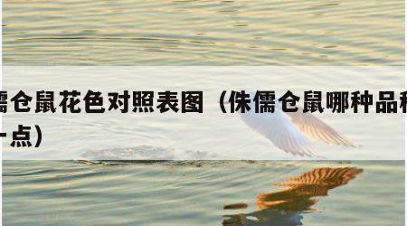 侏儒仓鼠花色对照表图（侏儒仓鼠哪种品种更好一点）