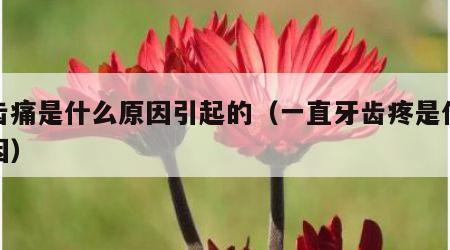牙齿痛是什么原因引起的（一直牙齿疼是什么原因）