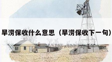 旱涝保收什么意思（旱涝保收下一句）