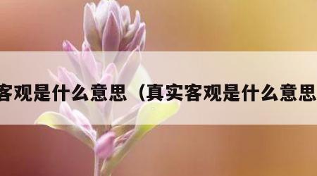 客观是什么意思（真实客观是什么意思）