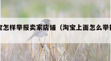 淘宝怎样举报卖家店铺（淘宝上面怎么举报店铺）