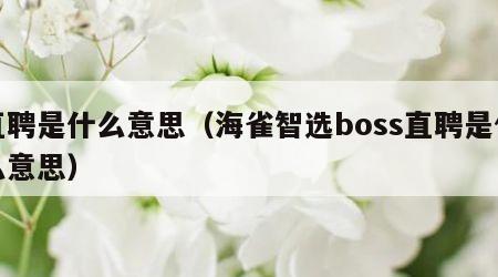 直聘是什么意思（海雀智选boss直聘是什么意思）