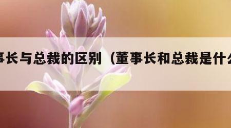 董事长与总裁的区别（董事长和总裁是什么关系）
