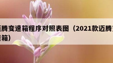 迈腾变速箱程序对照表图（2021款迈腾变速箱）
